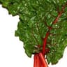 Chard: Red