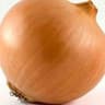 Onion: Brown