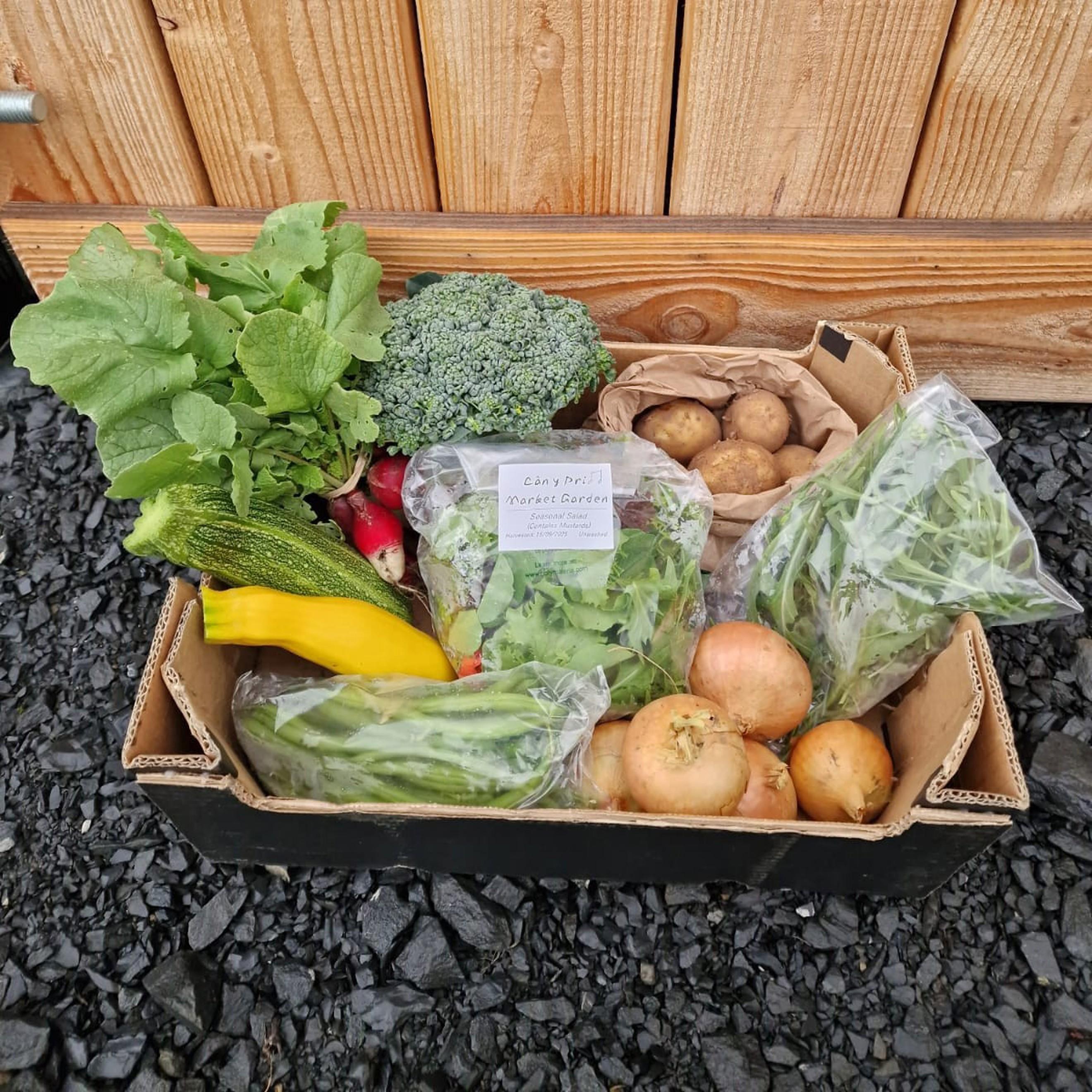 Wern Farm Veg Box
