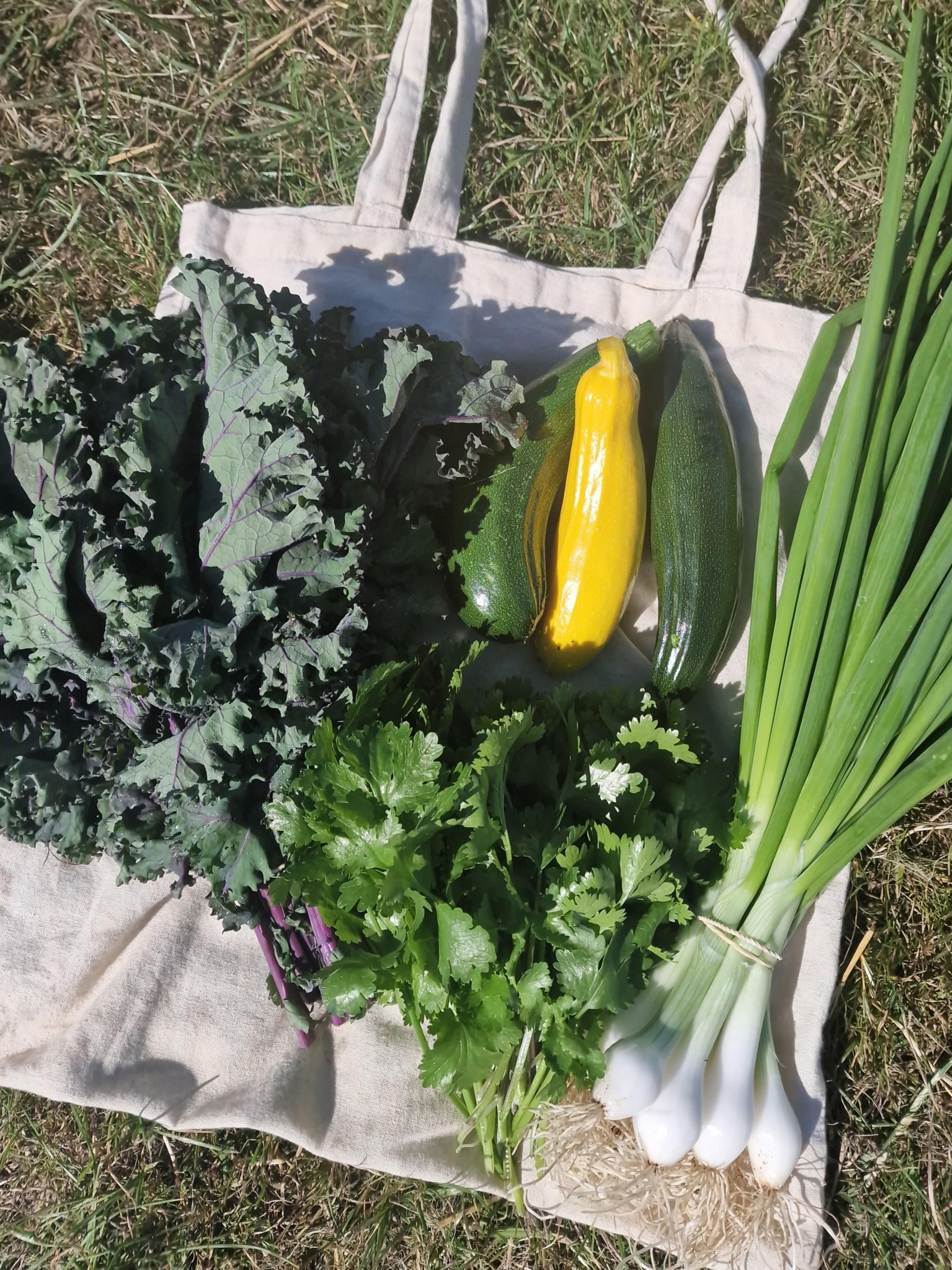 Wern Farm Veg Box - SMALL